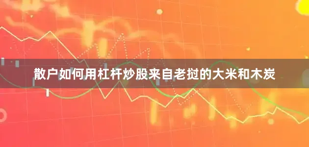 散户如何用杠杆炒股来自老挝的大米和木炭
