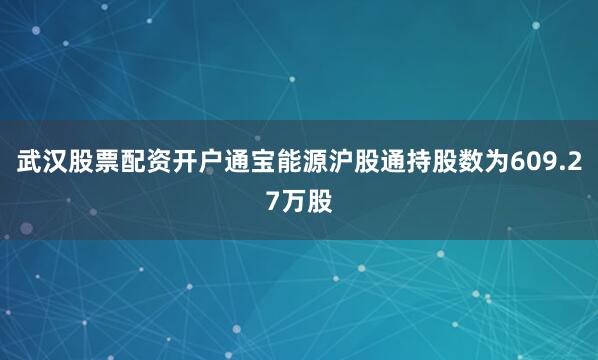 武汉股票配资开户通宝能源沪股通持股数为609.27万股