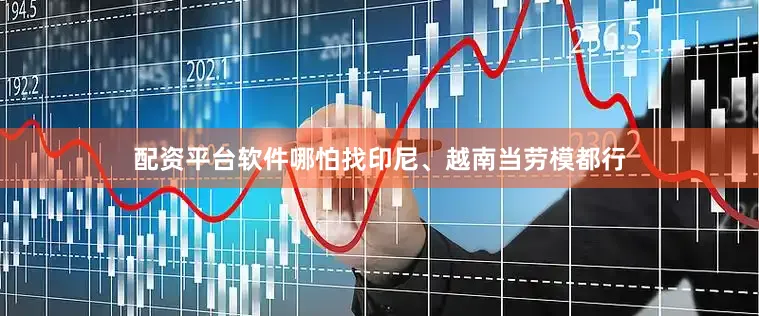 配资平台软件哪怕找印尼、越南当劳模都行