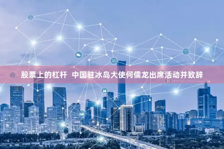 股票上的杠杆  中国驻冰岛大使何儒龙出席活动并致辞